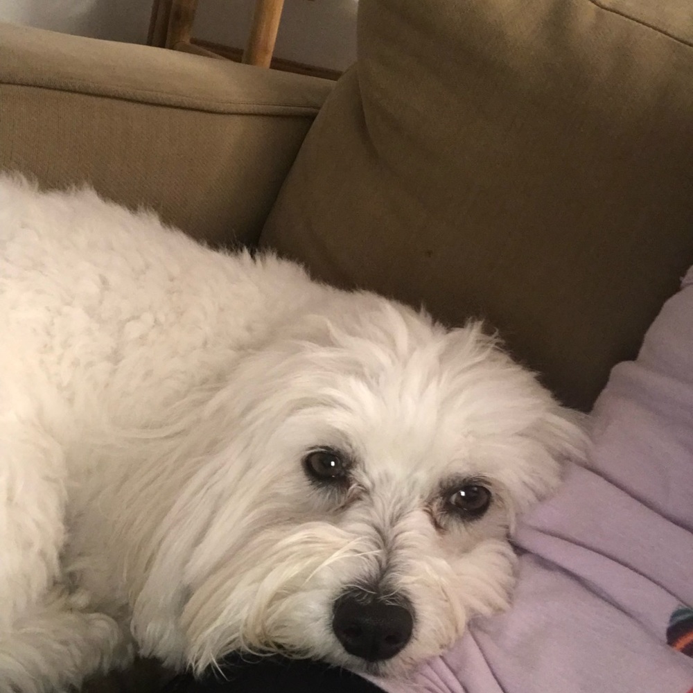 Meet your Posher, Nan